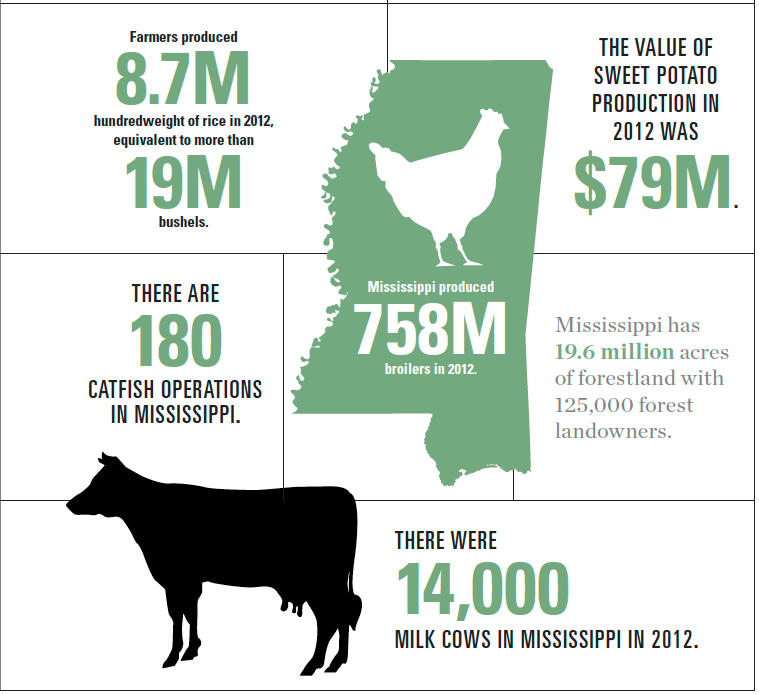 How farming in the Mississippi Delta can save America's food supply chain -  WTOP News