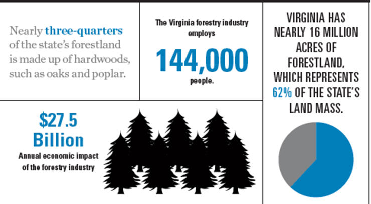 Virginia forestry Graphic