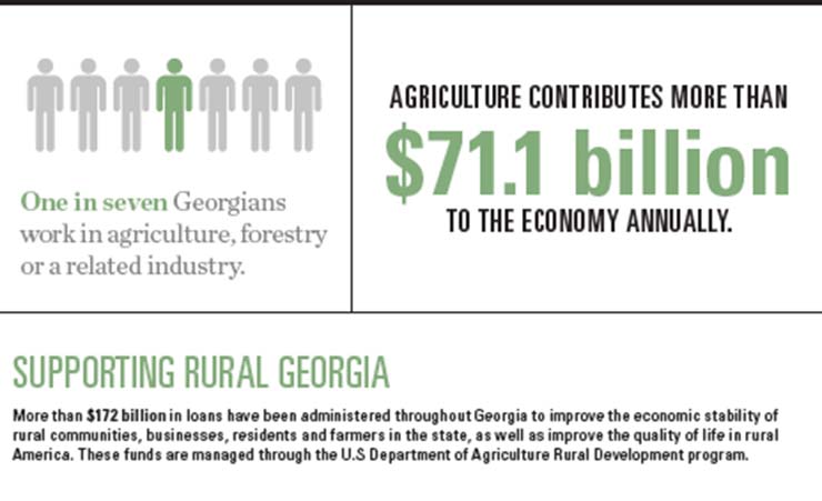 Georgia Agriculture