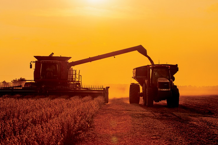 agricultural Technology Corn and Soybeans