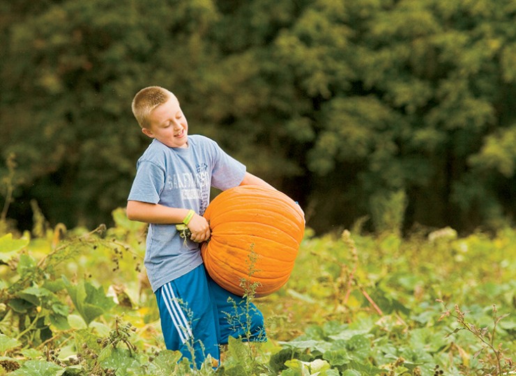 Child with pumpkin Direct Marketing in Virginia