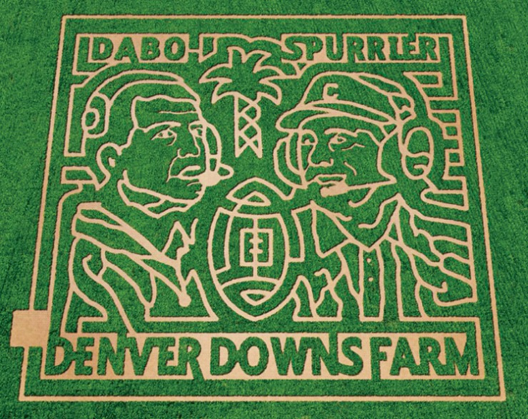 Denver Downs corn maze, South Carolina