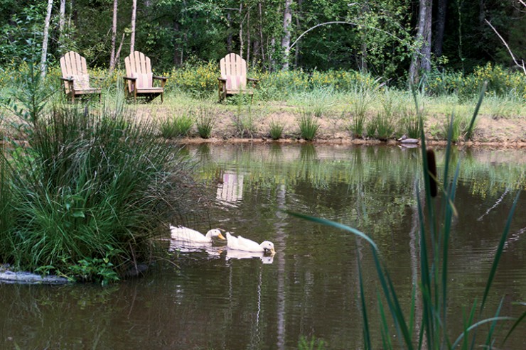 pond, South Carolina Stewardship