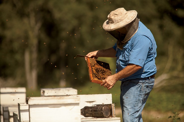 Ray Crosby works with hives at Weeks Honey Farm in Omega, Georgia, Tift County.