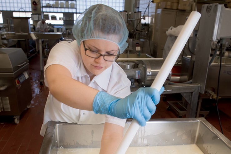 Researchers make cheese at the Center for Dairy Research at UW-Madison.