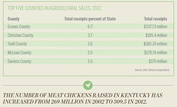 Kentucky Agriculture [INFOGRAPHIC]
