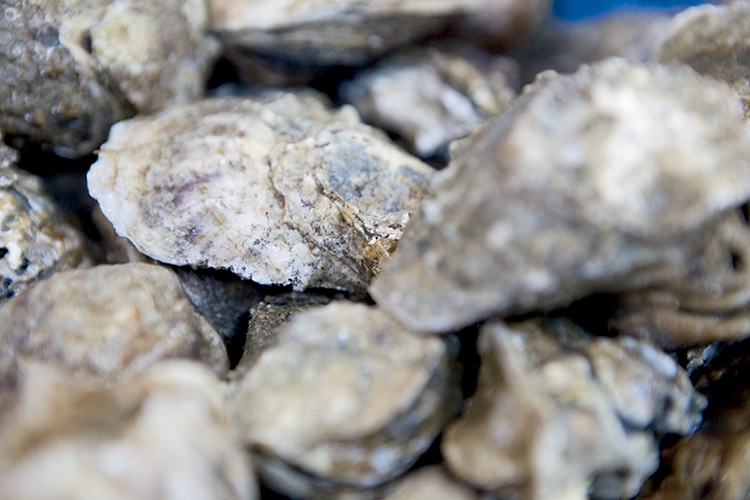 Crystal Seas Oysters uses irradiation to treat their raw oysters in order to have a safer, more consistent product. 
