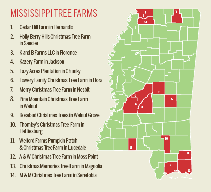 Mississippi Christmas Trees