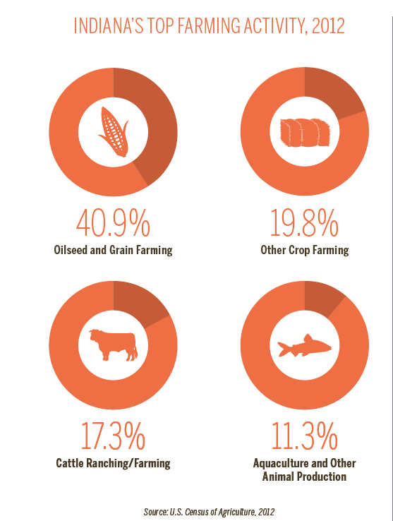 Indiana Farming Activity infographic