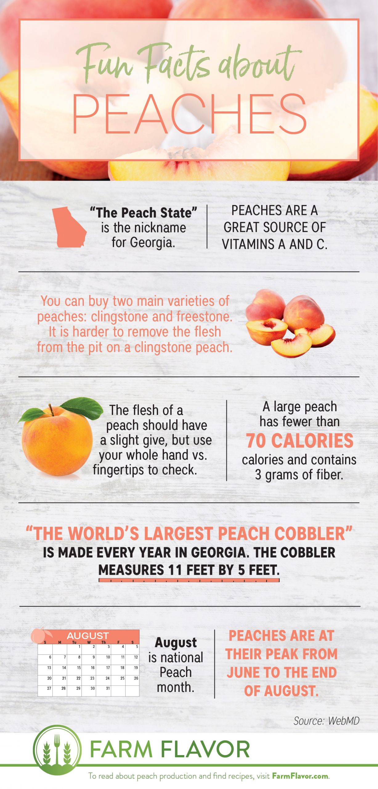 10 Things You Probably Didn't Know About Georgia Peaches, Official Georgia  Tourism & Travel Website