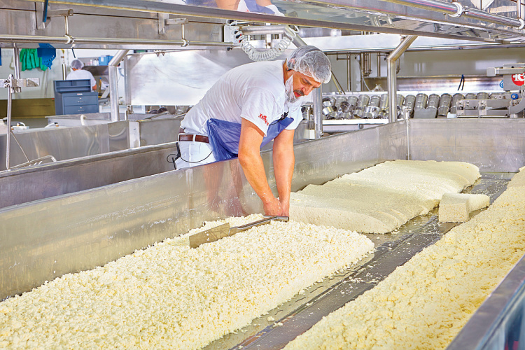 Wisconsin cheese production