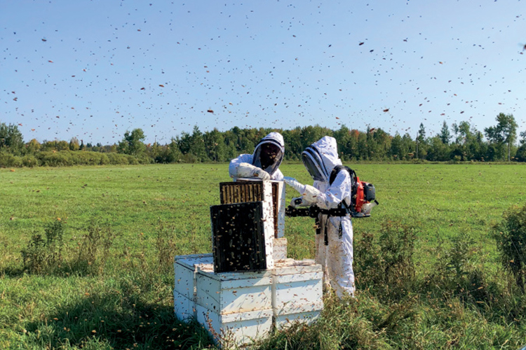 Wisconsin beekeeping