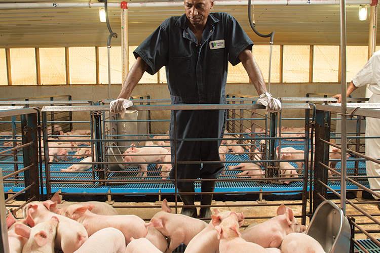 James Lamb and his 85-year-old mother, Thelma, operate a successful “wean-to-feed” hog farm in Clinton.