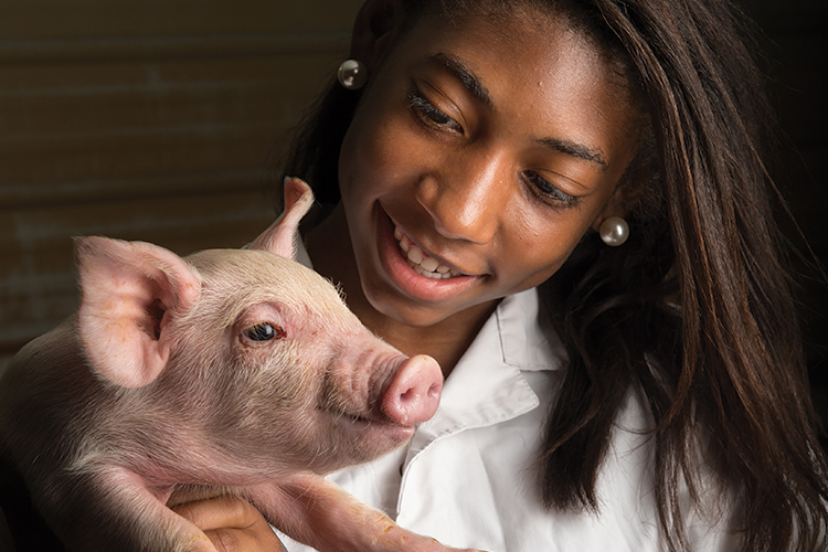Maegan Lamb, 14, holds a piglet at her family’s Sampson County farm.