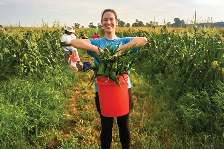 Gleaning leftover crops is one way that Virginians are working to reduce food waste