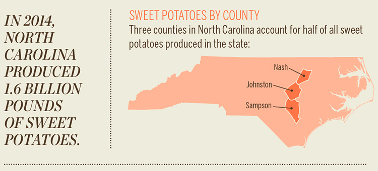North Carolina Sweet potato [INFOGRAPHIC]