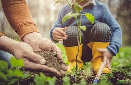 Adult and child planting a young tree together in a garden, with hands holding soil and the child wearing yellow boots.