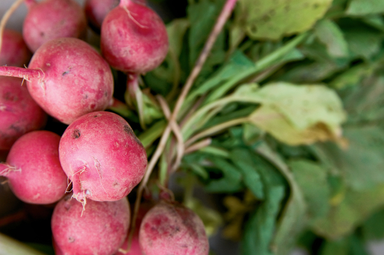 Radishes are among the many fresh vegetables sold in the summer at the local farmers' market. Cradle Rock Way, Columbia, MD. JCI PHOTO Kevin Young