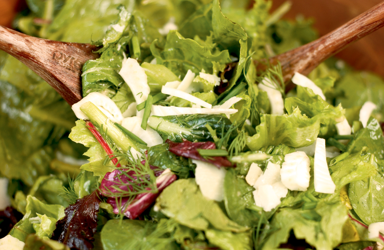 Mixed Green Salad with Fennel, Fresh Herbs, and Shaved Parmesan