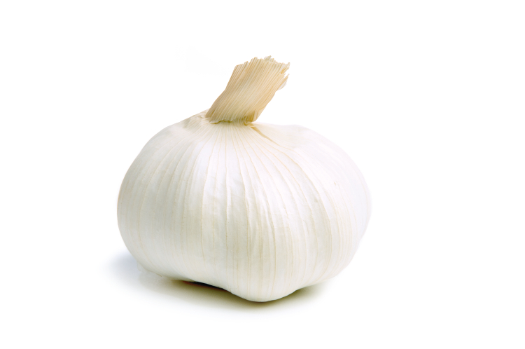 National Garlic Month is in April