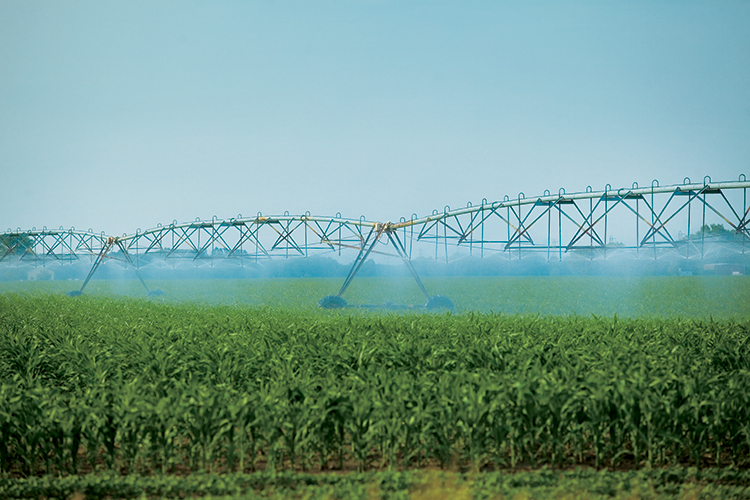 irrigation pivot sprays 