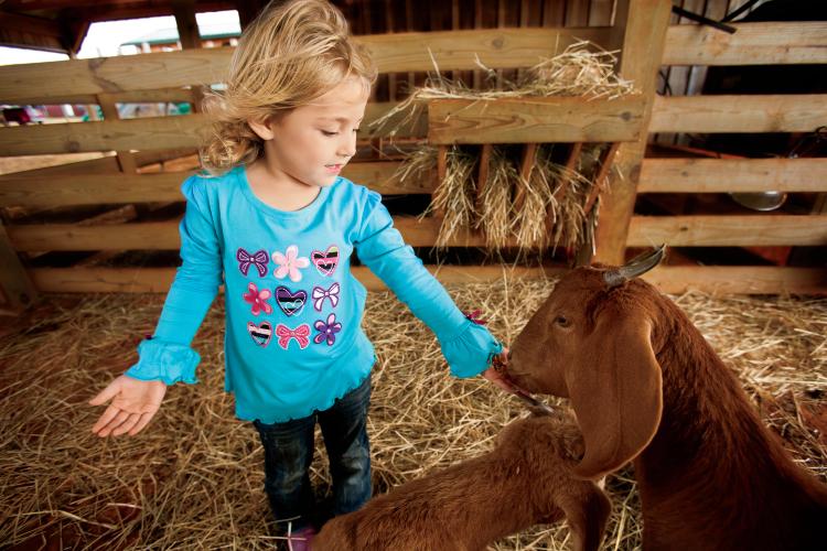 Children feed goats at Tate Farm near Meridianville Alabama