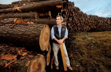 Alabama's forestry industry is among the state's top agriculture commodities