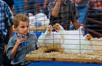 Illinois State Fairs Promote Agriculture