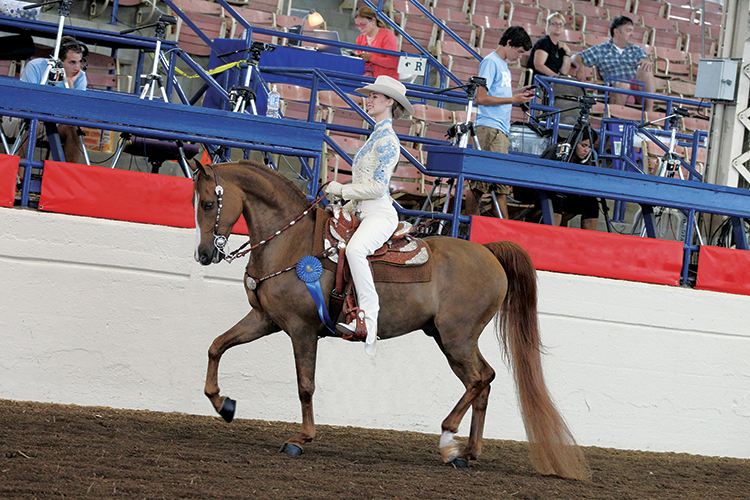 Horse Show Illinois