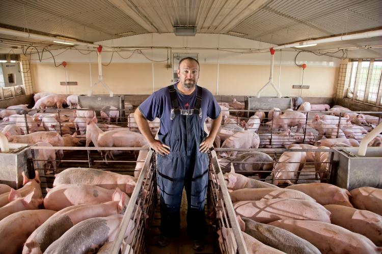 Pork ranks as one of Illinois' top commodities.