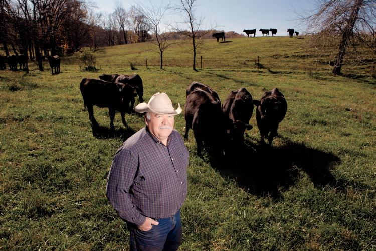 Missouri's Cattle Industry