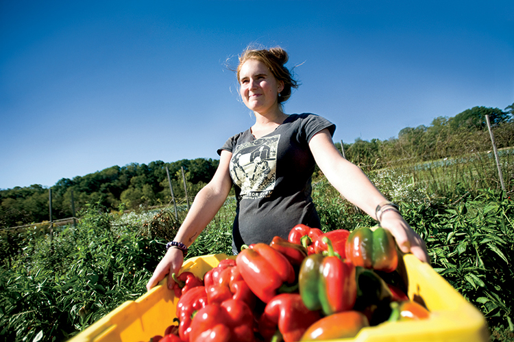 Kentland Farm near the Blacksburg campus provides Virginia Tech College of Agriculture 
