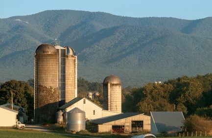 Virginia Agriculture Leaders Obtaining Results