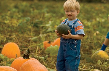 Child with pumpkin Direct Marketing in Virginia