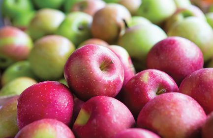 virginia farmers markets