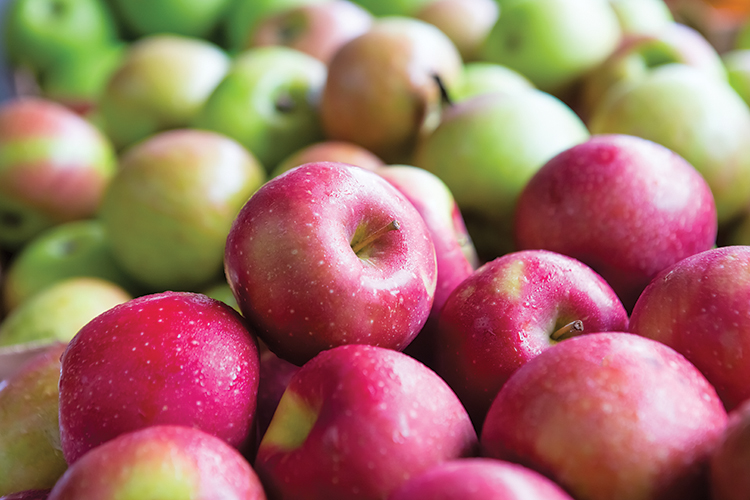 How to Store Apples and Keep Them Fresh Longer