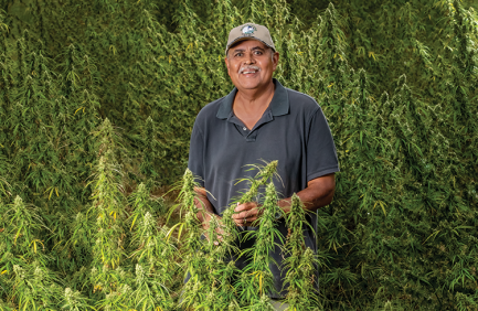 Clif Slade stands in the hemp field at this farm near Surry, Virginia.