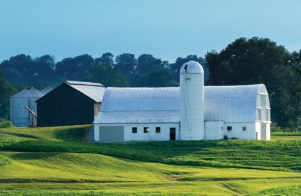Kentucky Agriculture