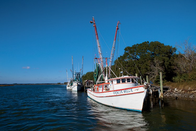 Fishing, Seafood, Crabs,Shrimp, Oysters