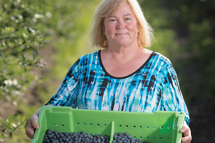 Adair "Dottie" Chambers Peterson, along with her son Ryder Godfrey, run Chambers Brother's Blueberry farm in Homerville GA.