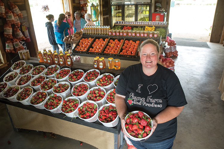 Carla Payne holds a bucket of freshly picked strawberries in the farm market at Payne Farms in Calhoun.