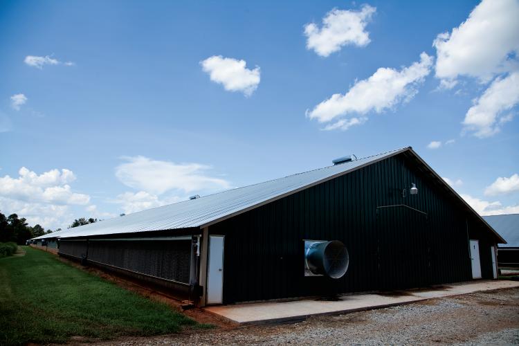 Environmentally Controlled Poultry House in Georgia