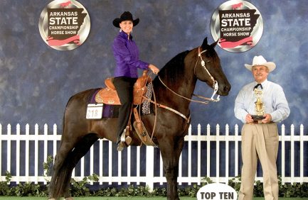 Arkansas State Championship Horse Show