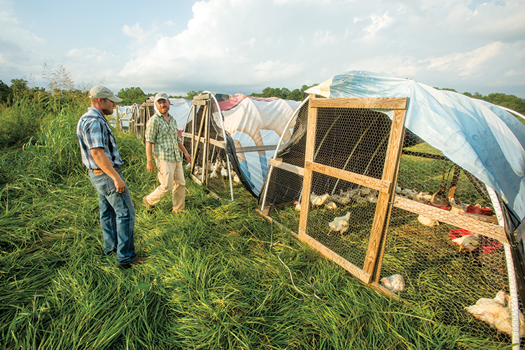 Terrell "Spence" Spencer moves the chicken pens to fresh grass in a field at Across the Creek Farm in Fayetteville, Arkansas.