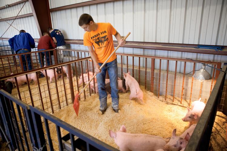 Ag-Based Education Programs Prepare Students for Careers - Farm Flavor