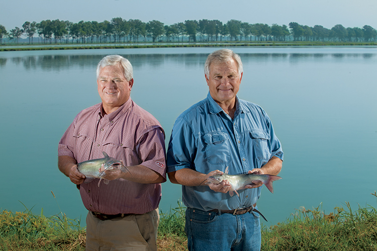 Ben and Ed Pentacost  Catfish and Aquaculture