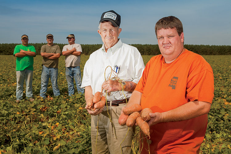 Landreth Farms, Mississippi Sweet Potato