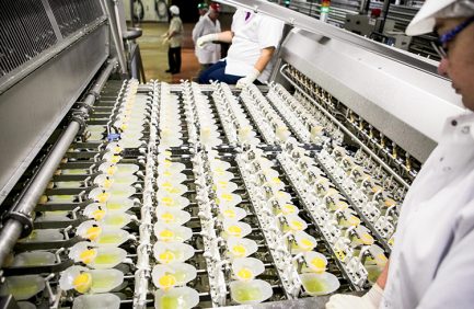 Michael Foods egg processing