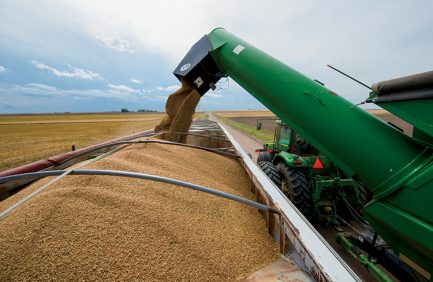 Nebraska wheat harvest