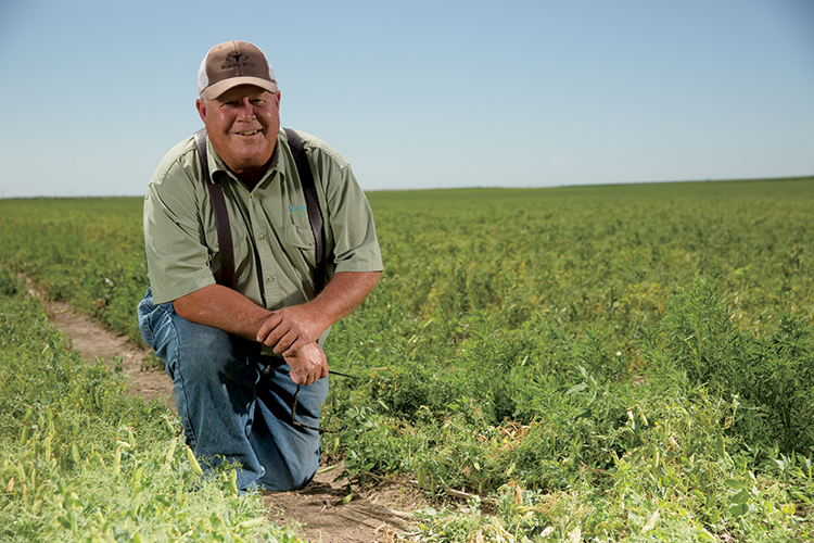 field peas farmer Nebraska